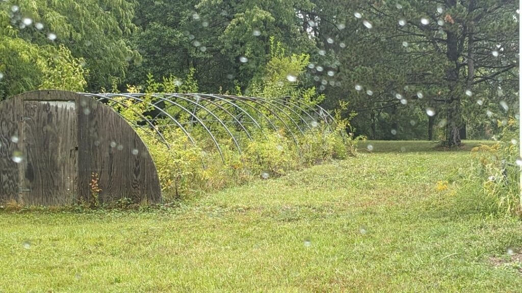 As many of you know I've been trying to grow my small nursery on a shoestring budget since it's creation 3 years ago. Today I met a lovely fella that will sell me this for an incredibly low price. There's a lot to figure out still but this is real potential