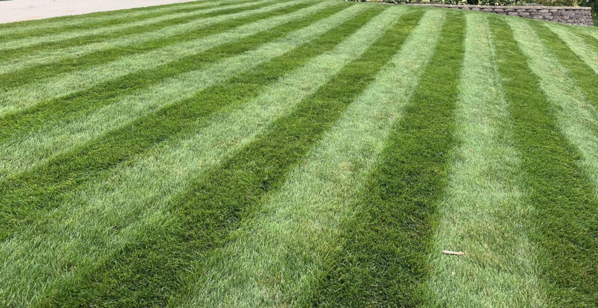 Aerating tomorrow morning