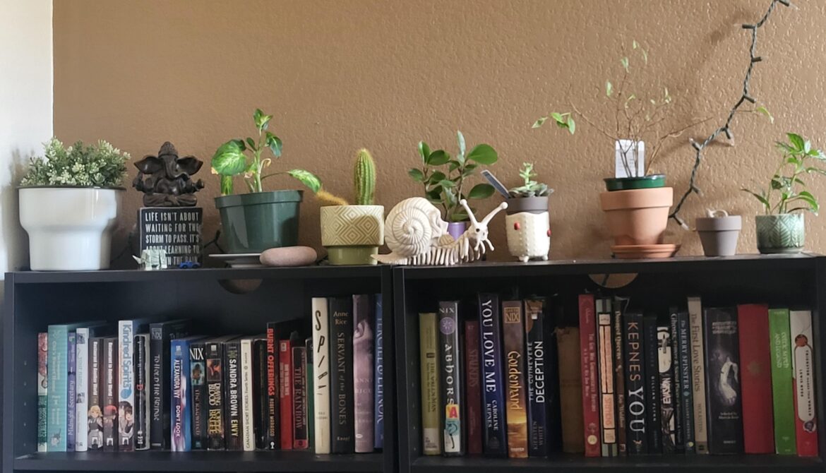 I'm ready for spooky season! 🐌