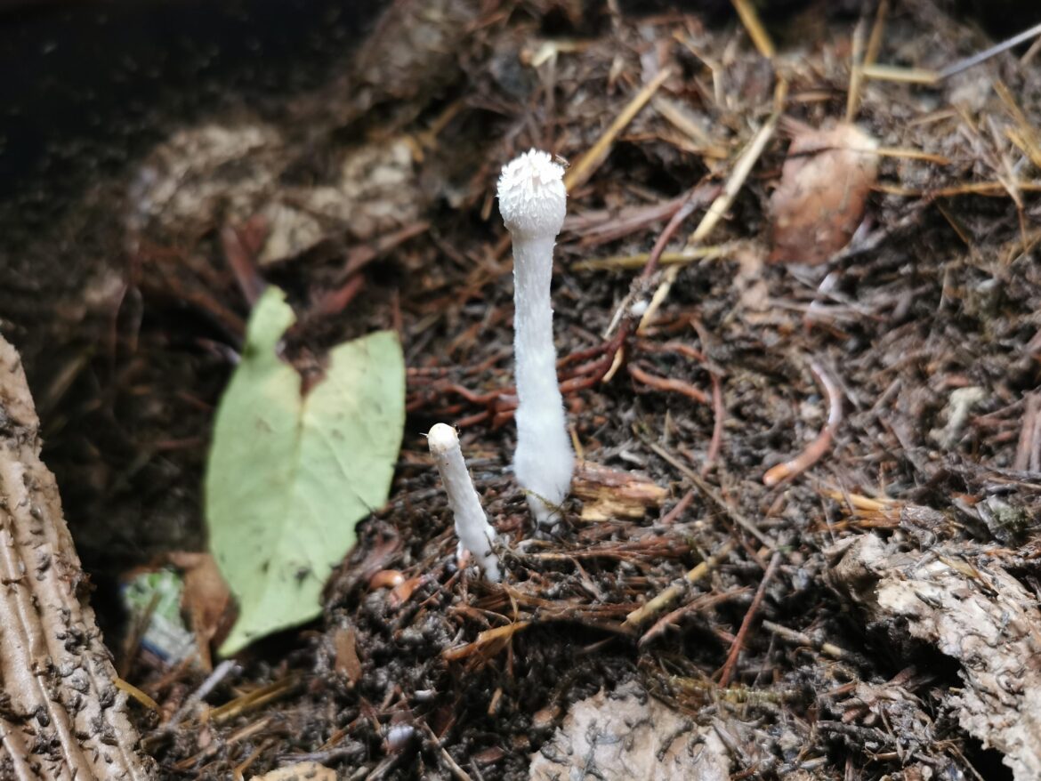 Look who I found! Also why has it cooled down?