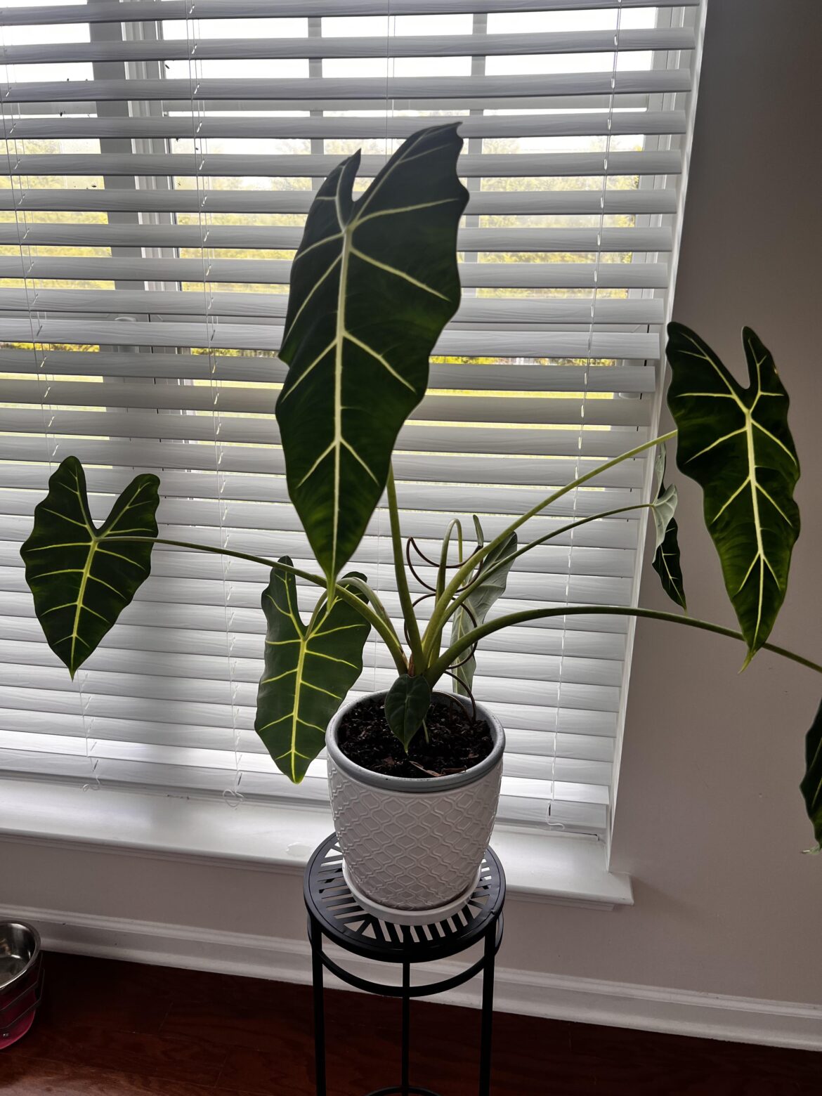 Should she be so floppy?