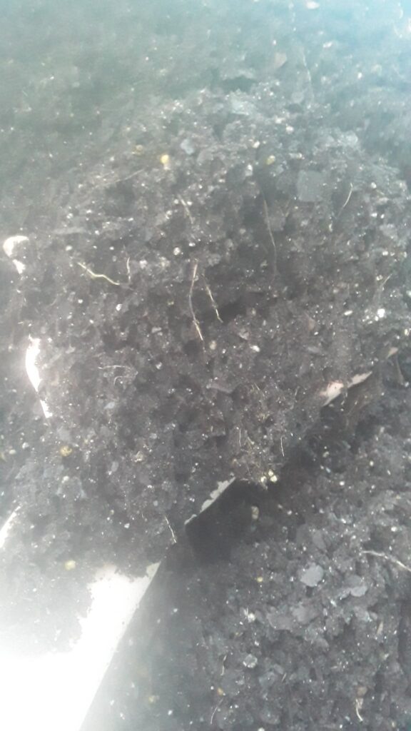 Does this look good?