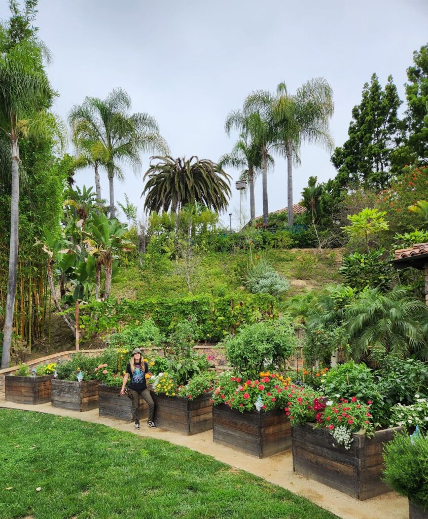 Something a little different here. I'm an Edible Landscaper and this is what I get paid to do.