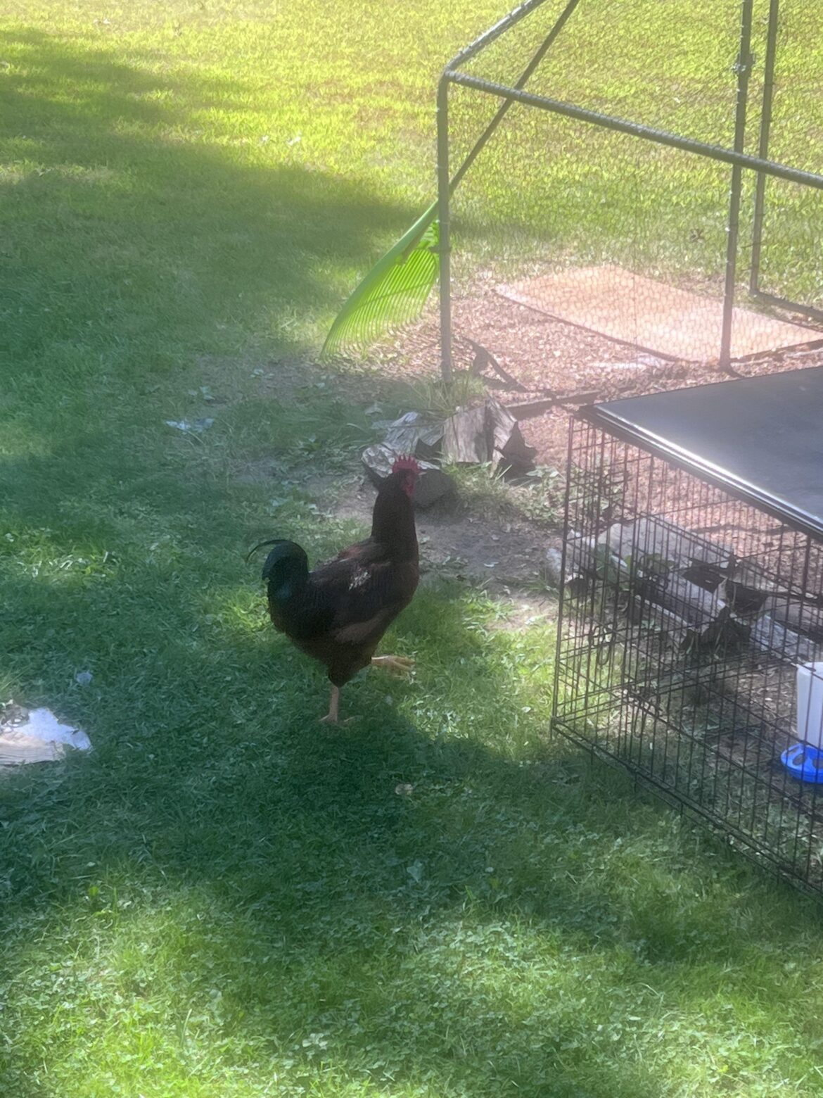 struggling with processing