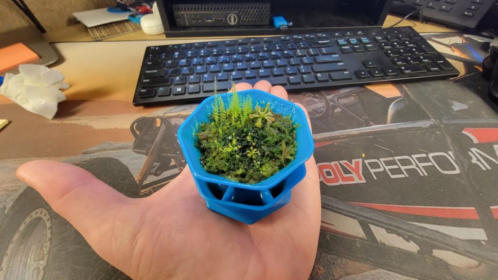 Mini bog!
