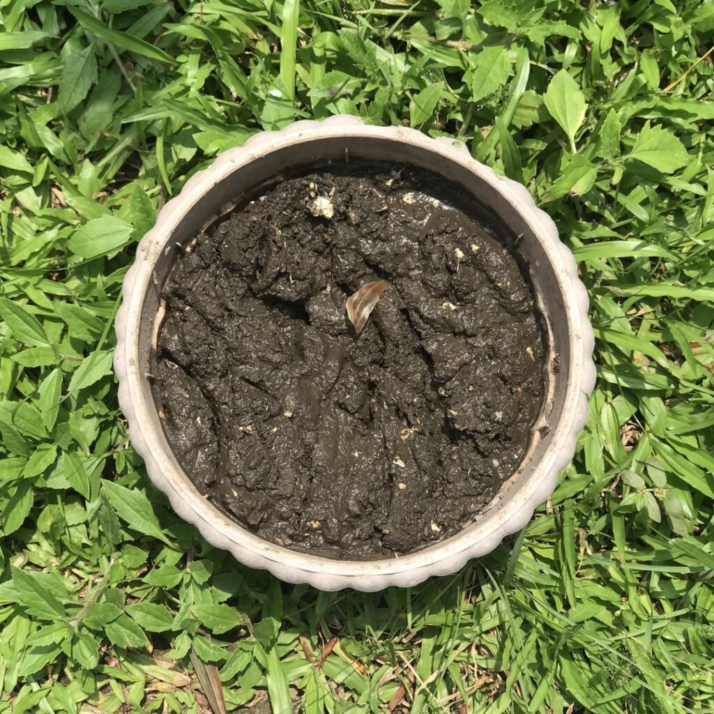 Please criticize my composts