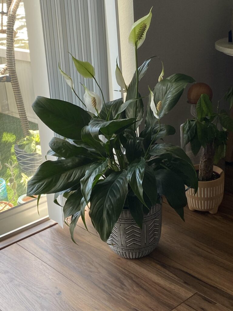 I don’t even know what to do anymore I don’t even know what to do anymore