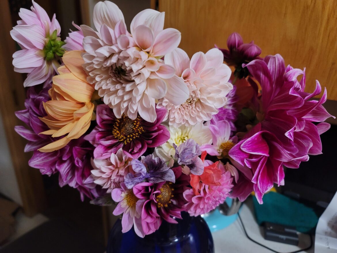 Bouquet for work, filled with dahlias and a few sweet peas.