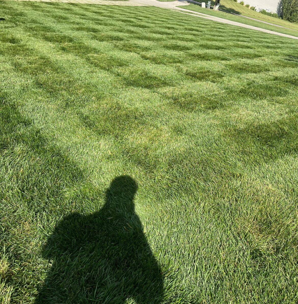 Saturday mow