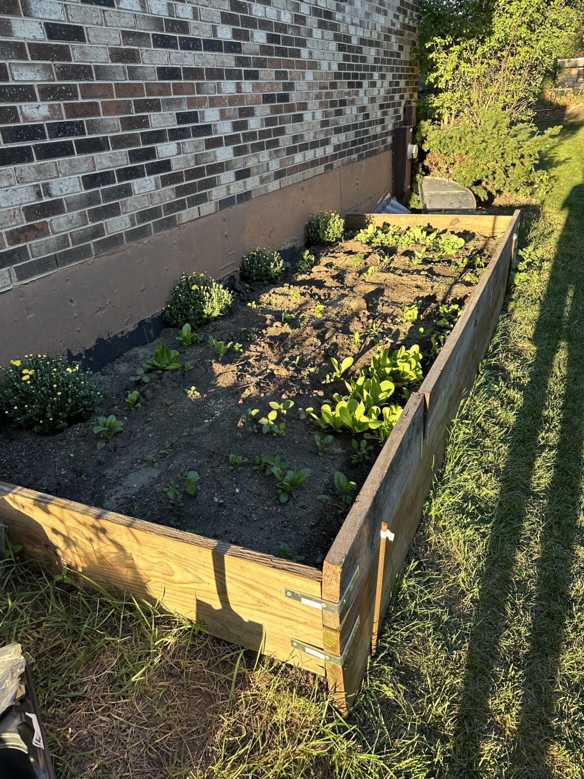 Screwed up first raised bed. Cannot access back half of bed lol. What would you do?