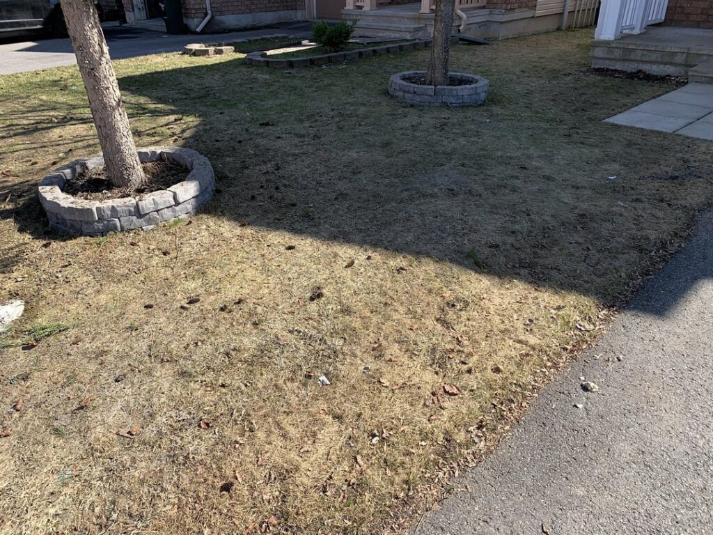 Zone 5B - Ottawa, ON - Apr-Sep 2023