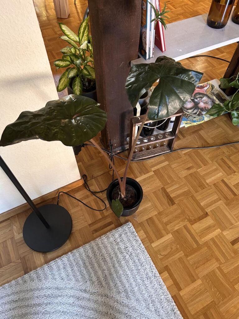 Just wanted to share...