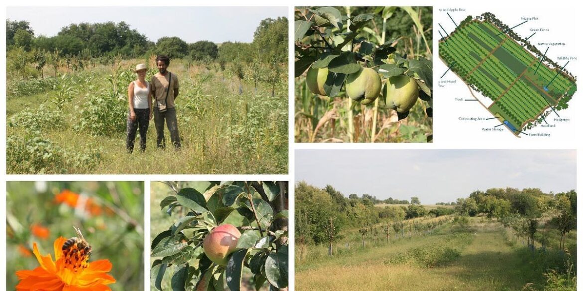 Regenerative Landscape Design - 5 ha Polyculture Farm Design - Suhi Dol Revisited