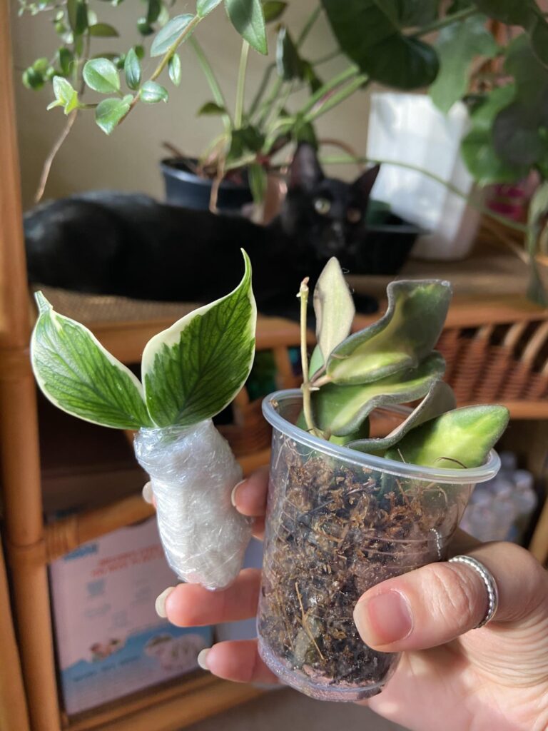 New babies!