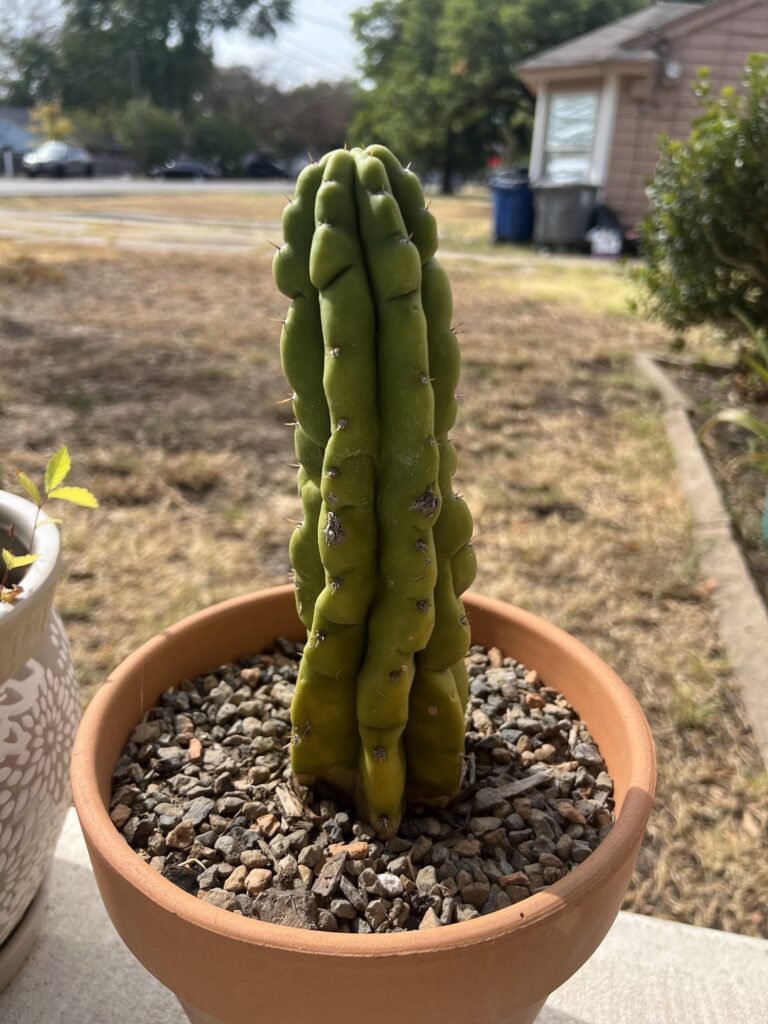 Hello! New to the community.