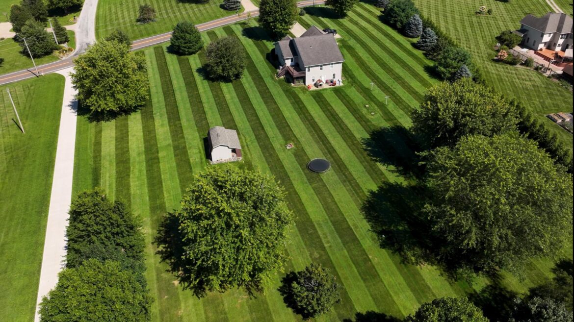 Trying out double stripes this year..