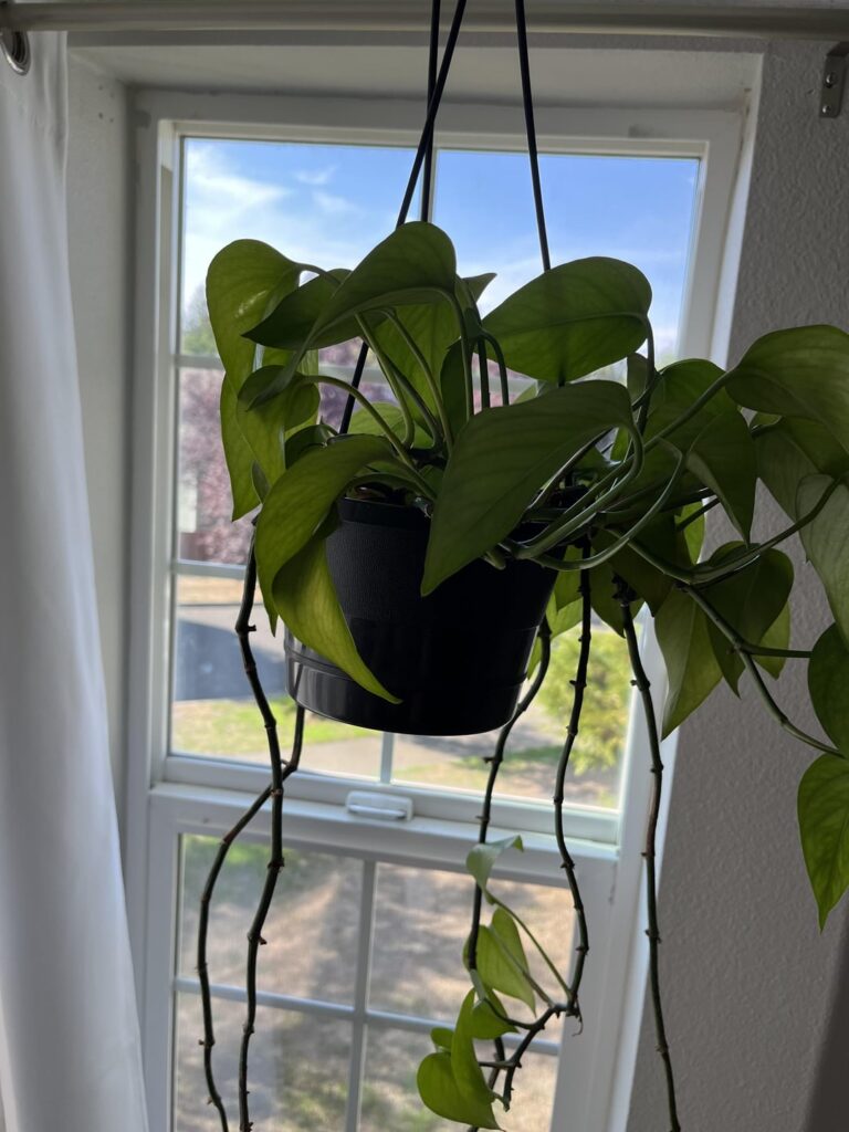 Need advice please Need advice please