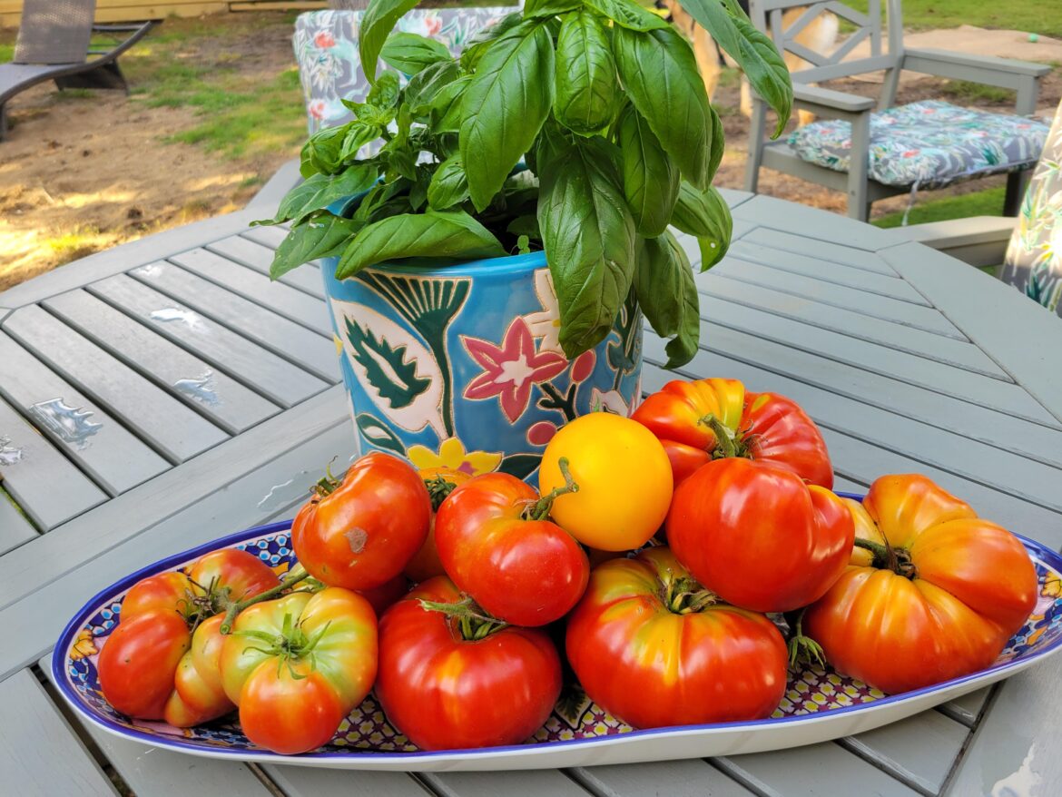 Still going strong late season on Long Island