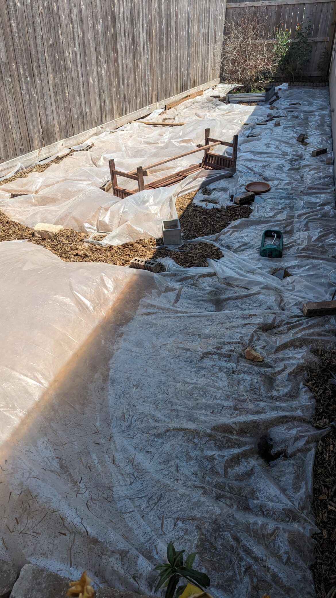 Solarization - weeds love it? What to do afterwards?