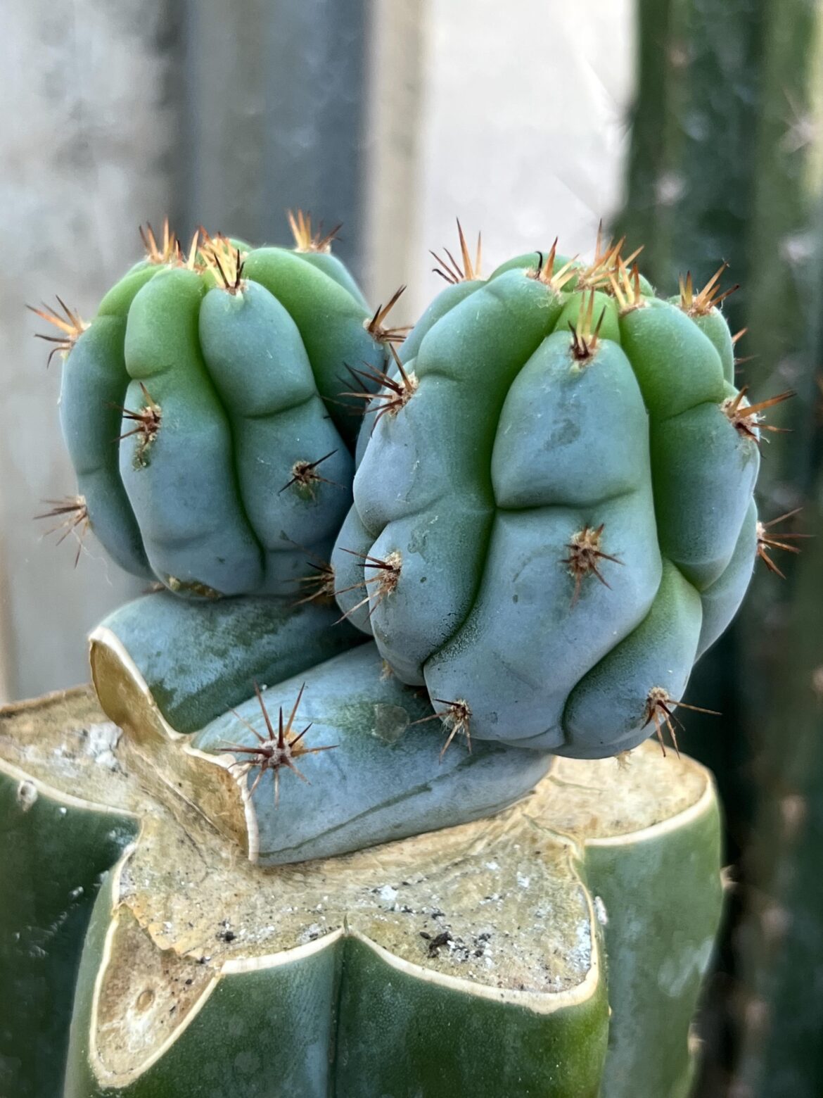 Trent - share your Trent pics