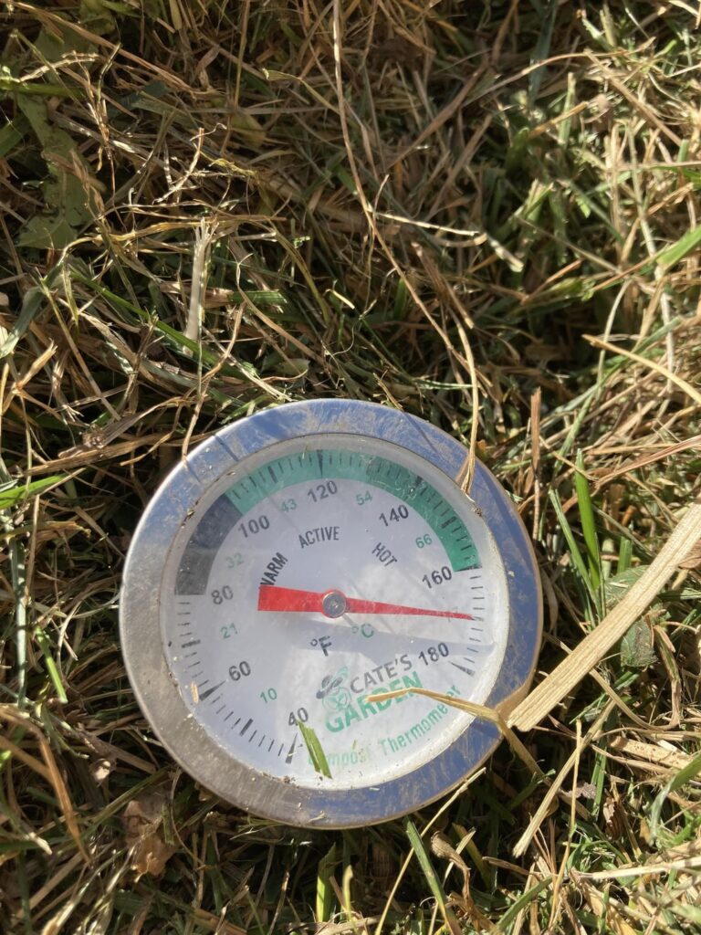 18 hours after flip - Yikes! Time to turn it!