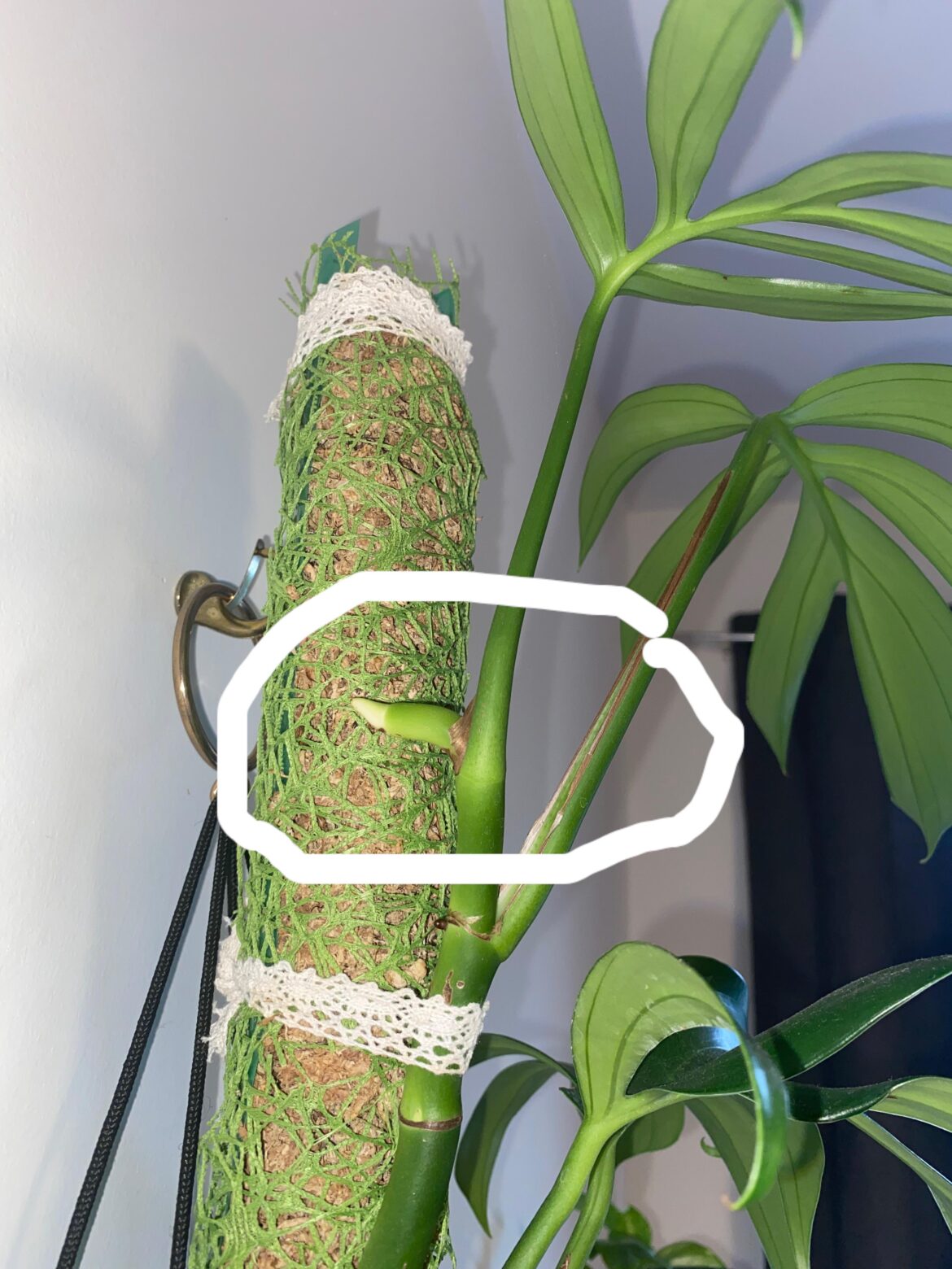 Why is this happening