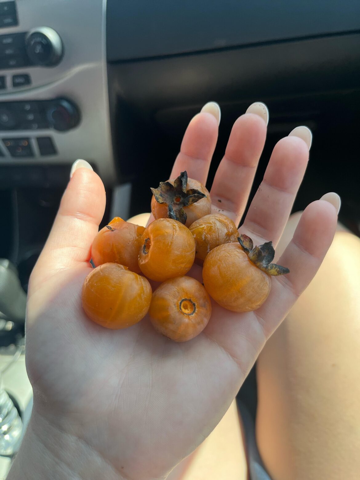 What kind of berries are these?