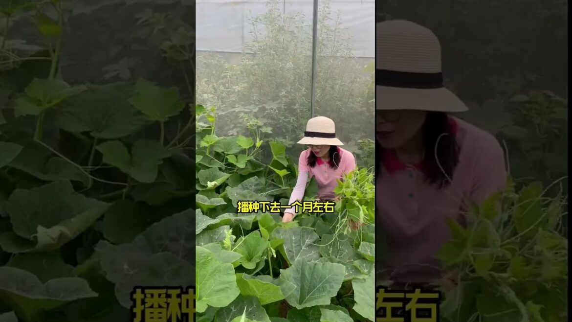 Beautiful Nature Garden Plan Natural life Style Beautiful landscapes