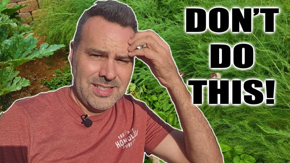 6 Fall Garden Mistakes That Will Destroy Your Harvest