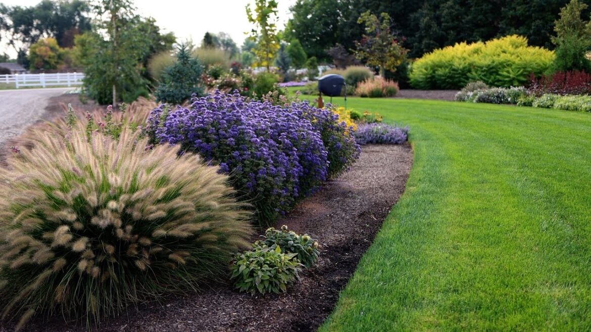 September Garden Highlights Ep 6🌿