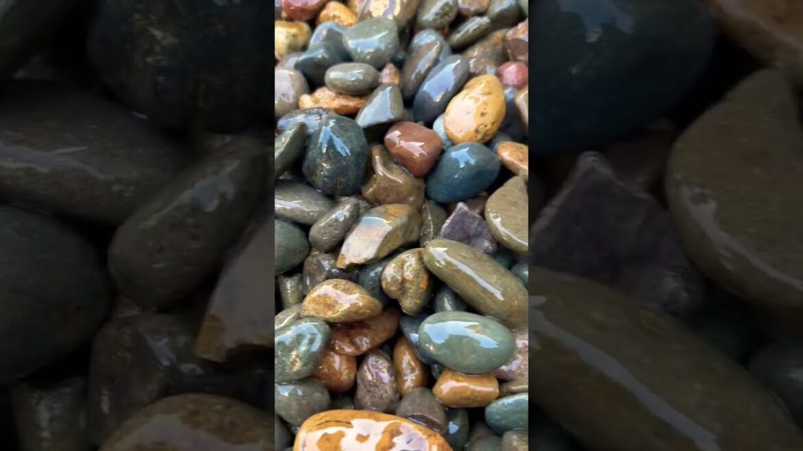 Landscaping Tips for 🪨 Rocks #shorts