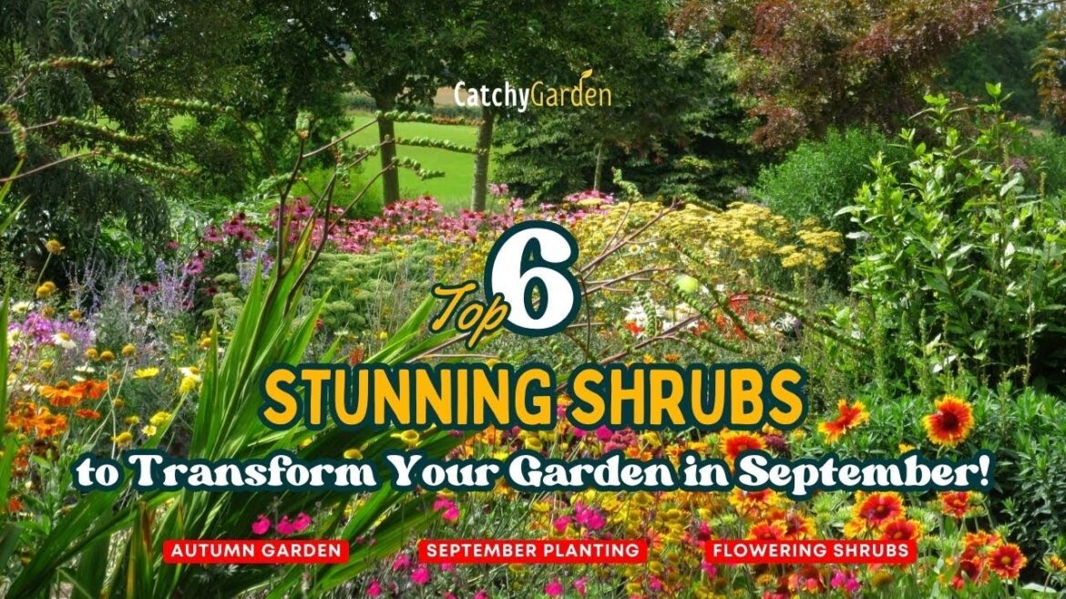 Top 6 Stunning Shrubs to Transform Your Garden in September! 🌿🍂