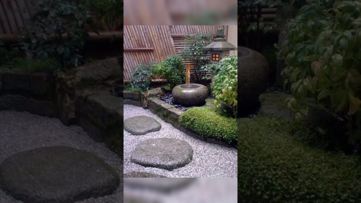 Modern Japanese Small Garden Designs || Garden Decor Ideas