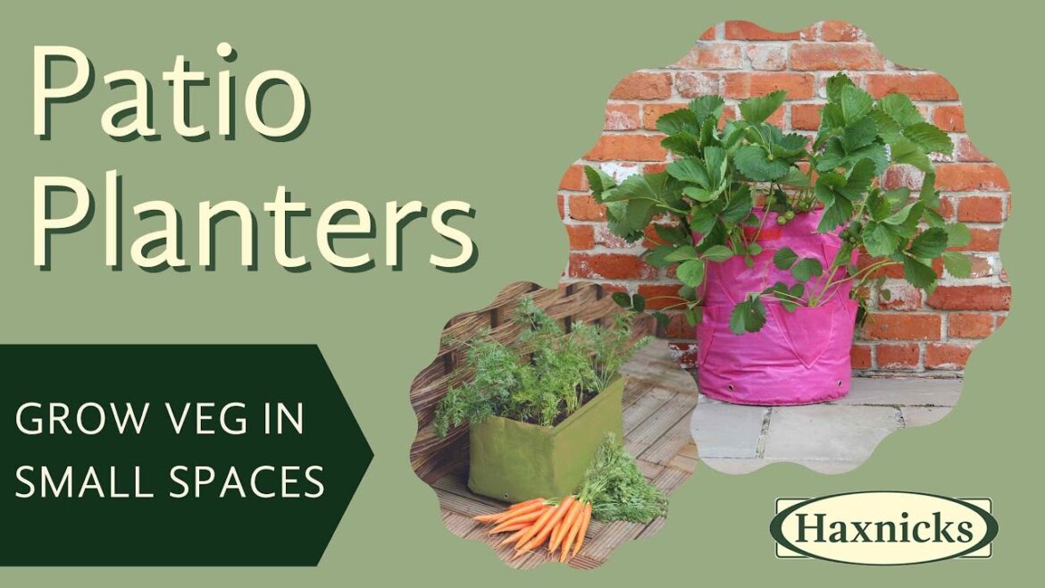 Haxnicks Garden Planters – the easy way to create a perfect container garden Haxnicks Garden Planters - the easy way to create a perfect container garden