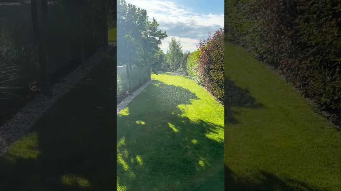 Backyard Garden Design Ideas #shorts #trends #gardening #garden #homeinteriordesign #homedecor