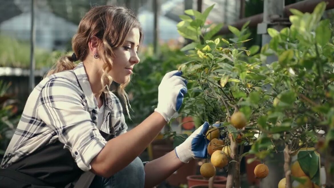Edible Landscaping and Fruit Tree Nursery Miami South Florida