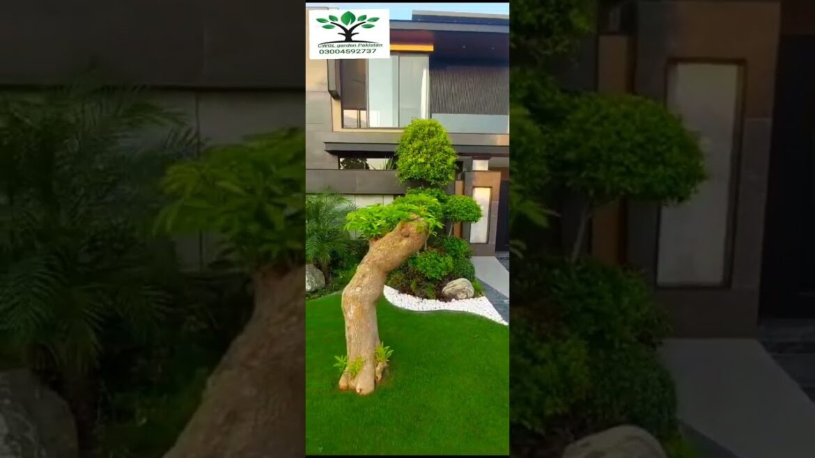 Most beautiful Modern #landscape 1kanal house outside #landscape design 0300 45 92 737 Ahmad Hassan Most beautiful Modern #landscape 1kanal house outside #landscape design 0300 45 92 737 Ahmad Hassan