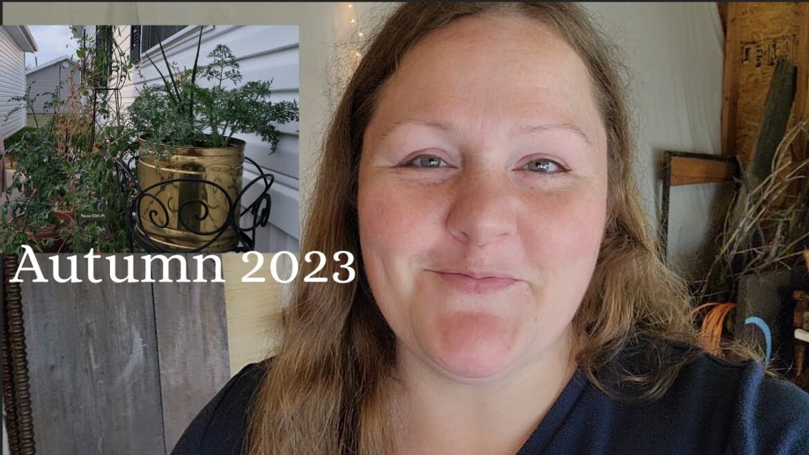 Container Garden Tour Fall 2023 Container Garden Tour Fall 2023