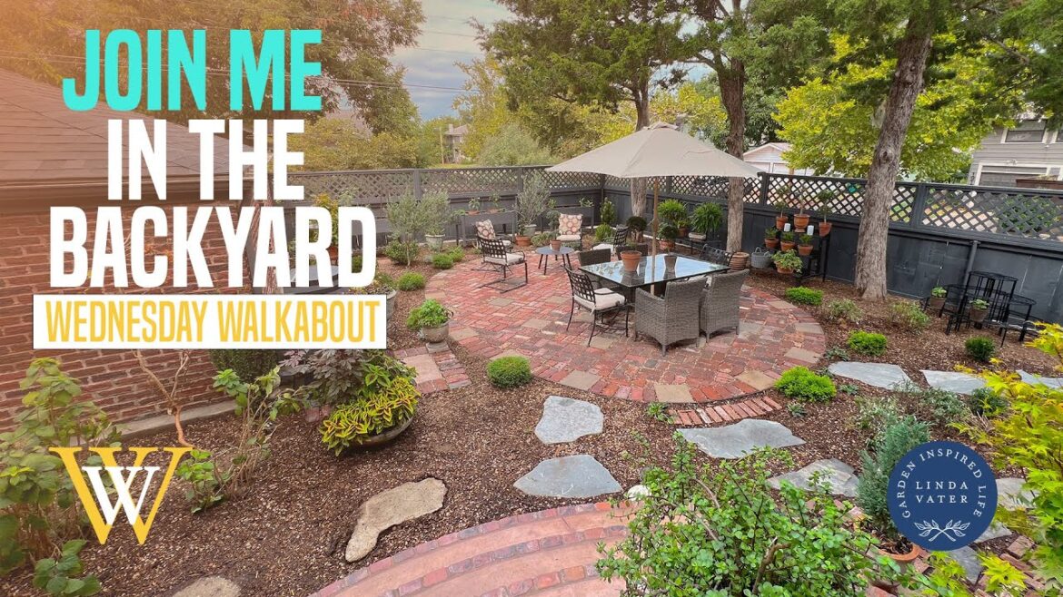 Join Me In the Cottage’s The Back Yard Join Me In the Cottage’s The Back Yard