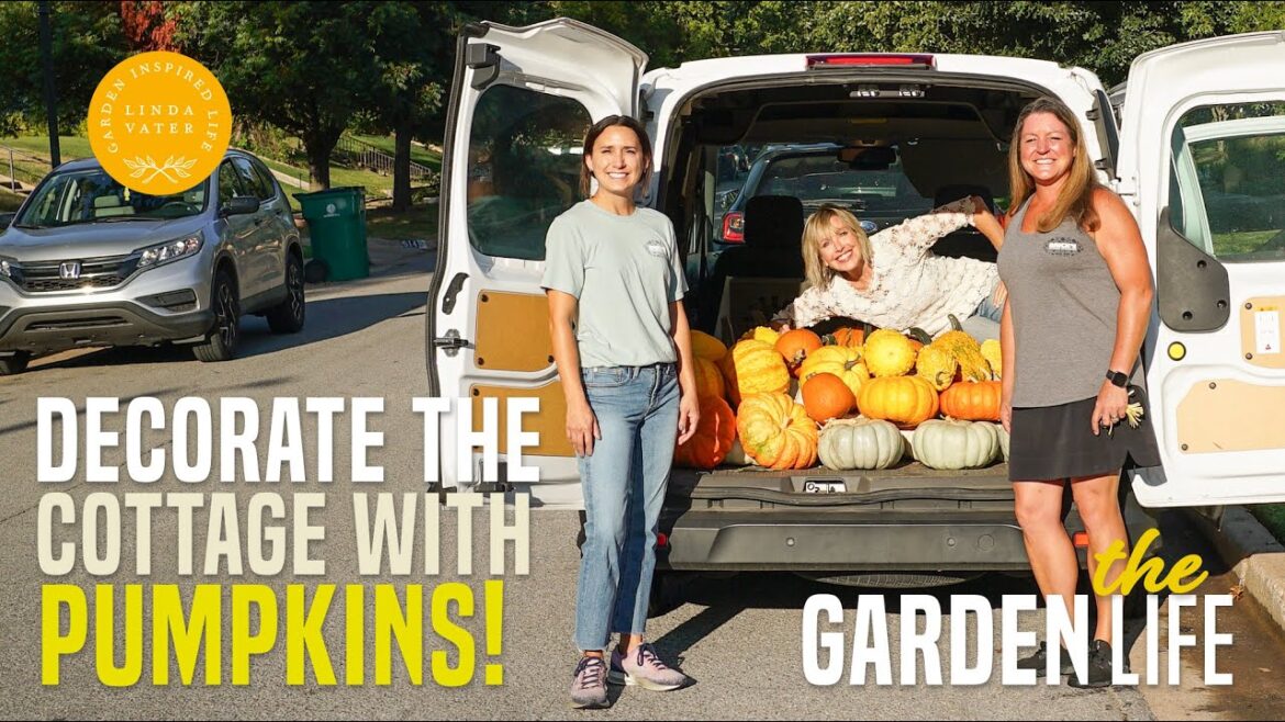 Let’s Decorate the Cottage Front Porch and Garden for Fall Let’s Decorate the Cottage Front Porch and Garden for Fall