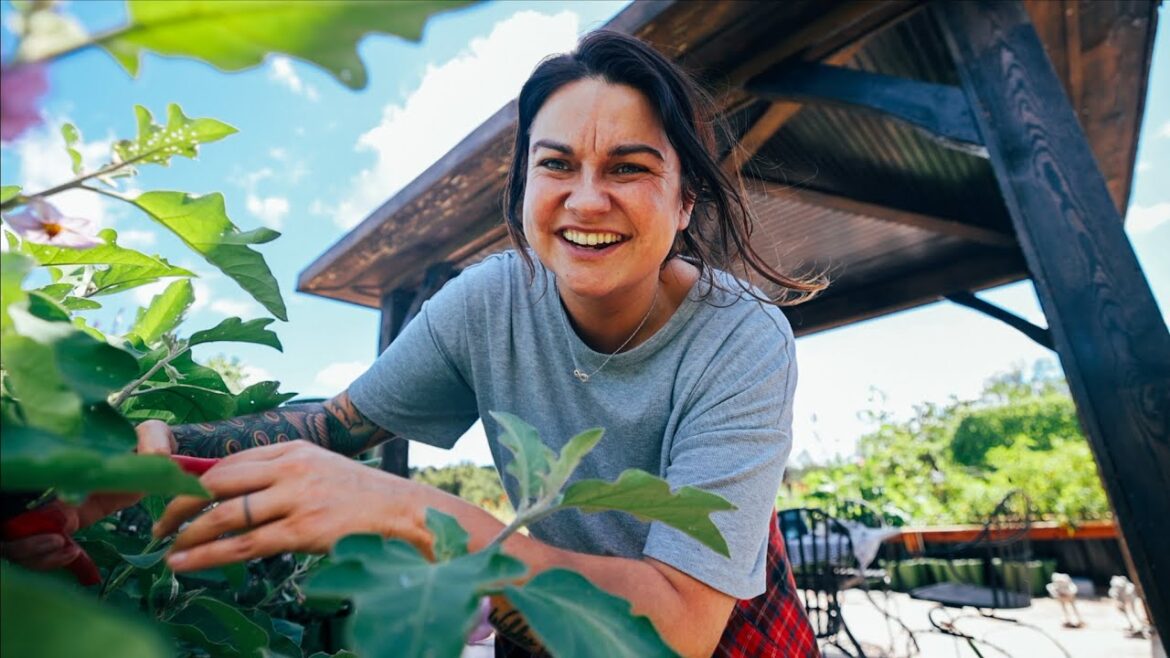 Roots and Refuge Farm: A Weekend of HIGHS and LOW (Jungle Status Garden and Ben’s Mishap) | VLOG A Weekend of HIGHS and LOW (Jungle Status Garden and Ben's Mishap) | VLOG