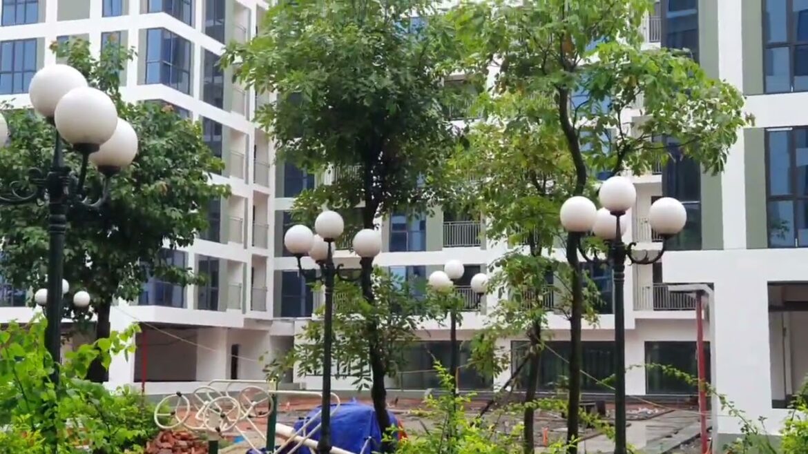 Clean Gardening Adventures: Transforming Your Outdoor Space