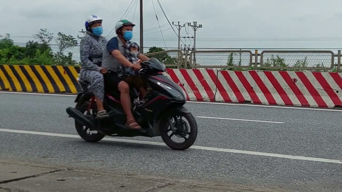 Greenhouse Gardening: Growing Year-Round Delights