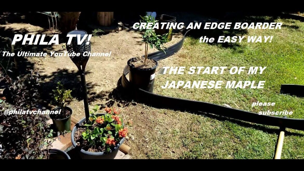 LAWN EDGING A BOARDER FOR MY JAPANESE GARDEN  PLANTER BOX DYI FROM START TO FINISH ON PHILA TV!