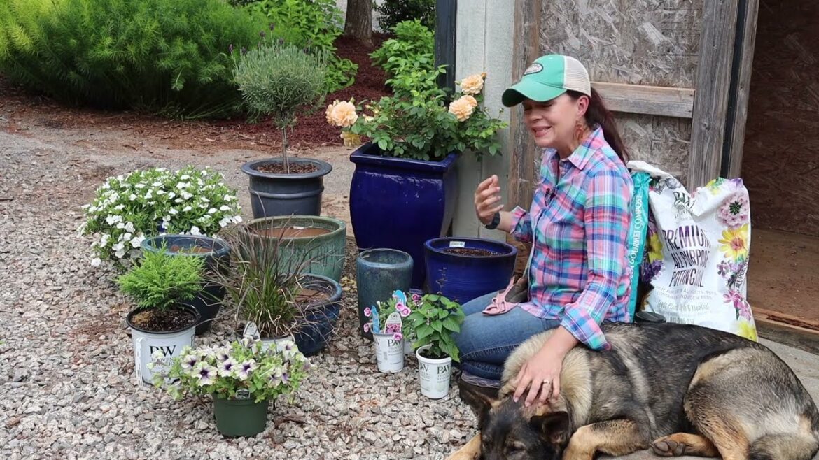 Creating a Unique Flower Arrangement with Containers | Gardening with Creekside Creating a Unique Flower Arrangement with Containers | Gardening with Creekside