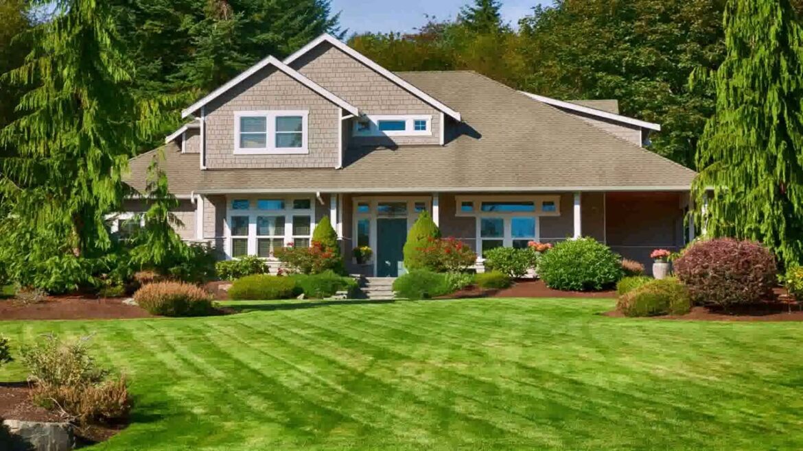 Front Yard Landscaping Ideas With Grass