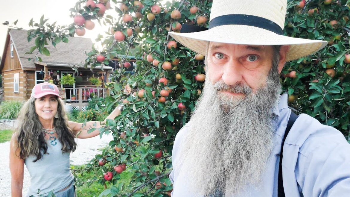 Pretty soon they will Outlaw this tree! Here is why...