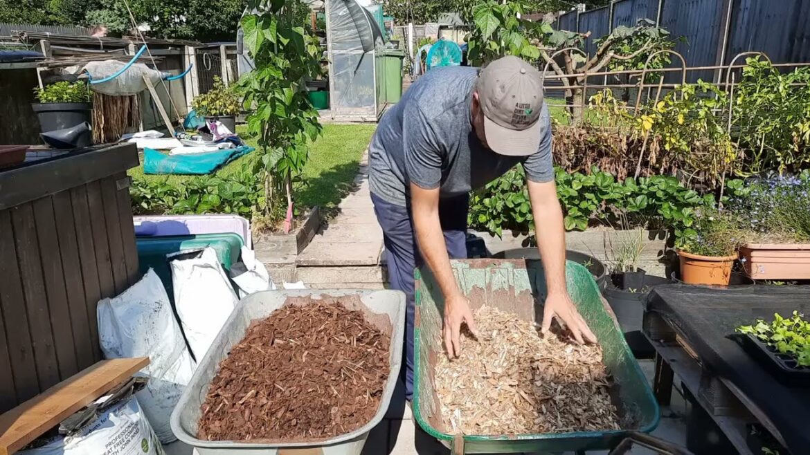 Allotment Update 4 / 9 / 23 - Surprise donation from Scrivens Landscape Supplies