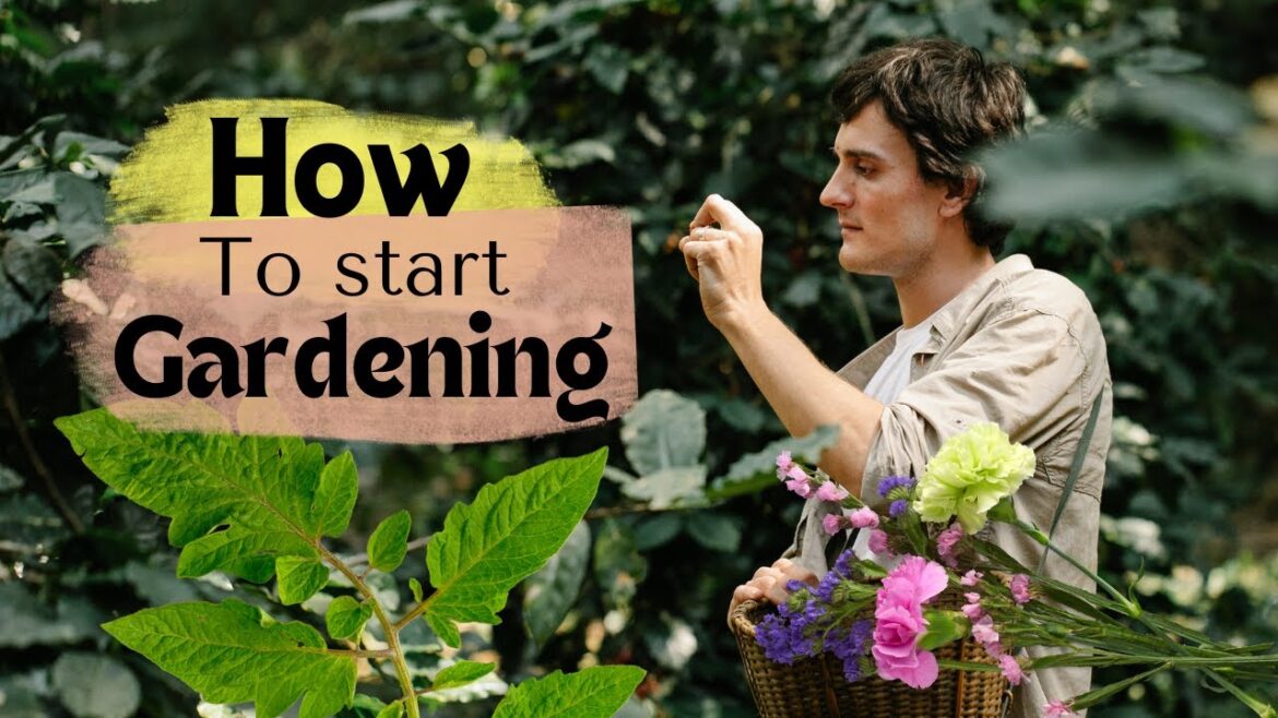 How to start gardening?|Gardening for beginners |Organic gardening