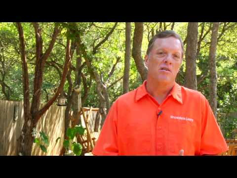 Gardening Tips : How to Cure Fungus on Roses Gardening Tips : How to Cure Fungus on Roses